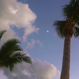 黄带生活片高潮
