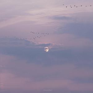 黄带生活片高潮
